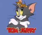 Tom ve Jerry komik maceralarını ana başkahramanlarıdır